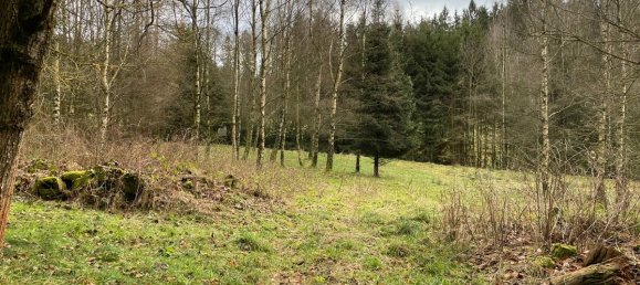 Terrain à Tirschenreuth, Germany No. 175287 6