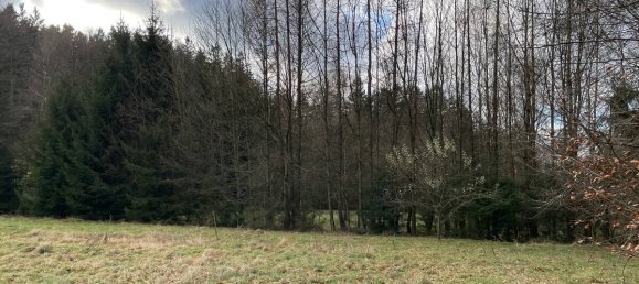 Terrain à Tirschenreuth, Germany No. 175287 3