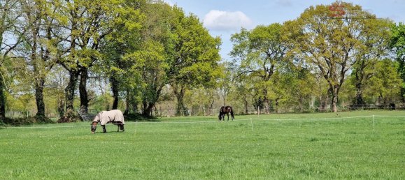 4 غرف نوم تاون هاوس في Leer, Germany رقم 177405 8
