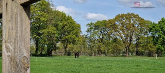 4 غرف نوم تاون هاوس في Leer, Germany رقم 177405 7