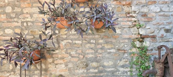 13غرفة فيلا في Rimini, Italy رقم 23397 5