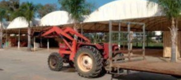 5567m² Warehouse in Sabaudia, Italy No. 205229 10