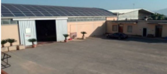 5567m² Warehouse in Sabaudia, Italy No. 205229 6