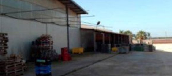 5567m² Warehouse in Sabaudia, Italy No. 205229 11