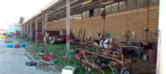 5567m² Warehouse in Sabaudia, Italy No. 205229 8