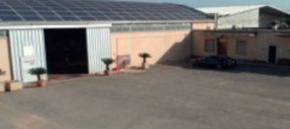 5567m² Warehouse in Sabaudia, Italy No. 205229 13