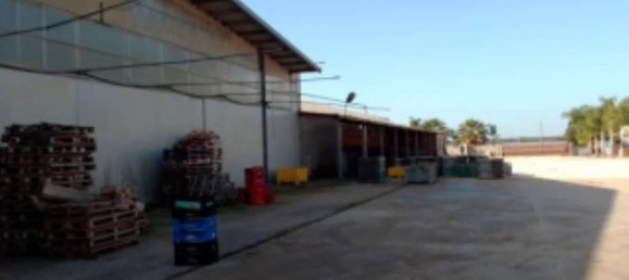 5567m² Warehouse in Sabaudia, Italy No. 205229 4