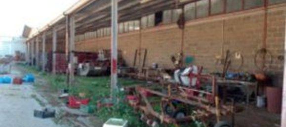 5567m² Warehouse in Sabaudia, Italy No. 205229 15