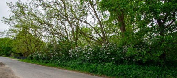 Grundstück in Potsdam-Mittelmark, Germany, Nr. 84719 2