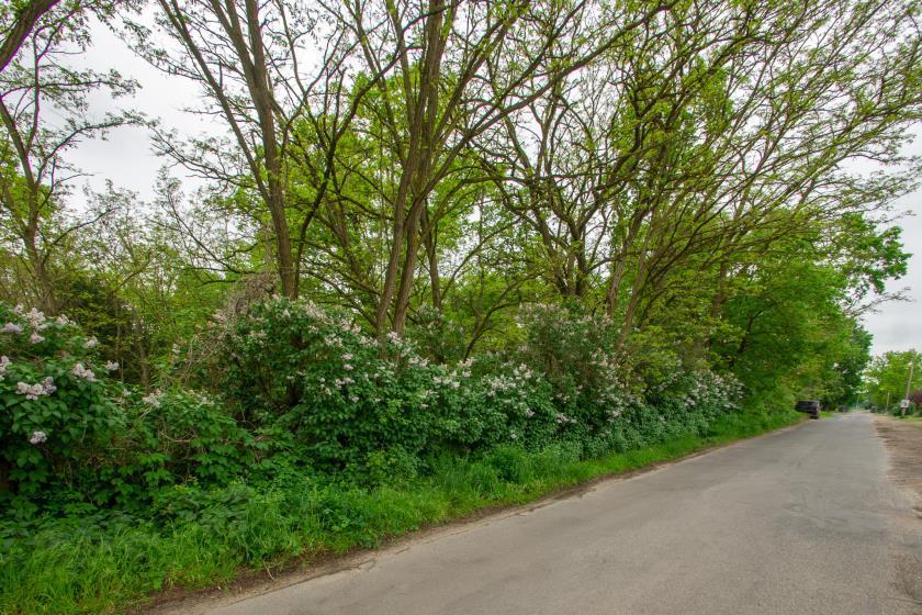 Grundstück in Potsdam-Mittelmark, Germany, Nr. 84719