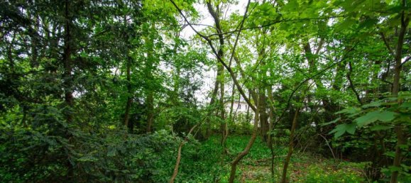 Grundstück in Potsdam-Mittelmark, Germany, Nr. 84719 4