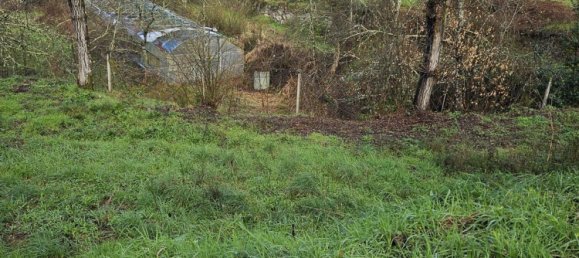 Terreno en Amarante, Portugal 30550 m² No. 56644 23