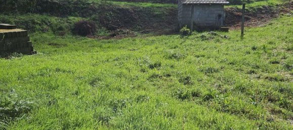 Terreno en Amarante, Portugal 30550 m² No. 56644 16