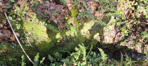 Terreno en Amarante, Portugal 30550 m² No. 56644 10