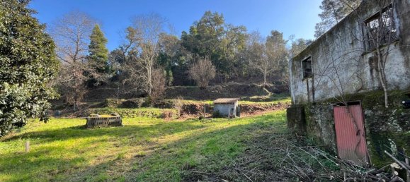 Terreno en Amarante, Portugal 30550 m² No. 56644 2