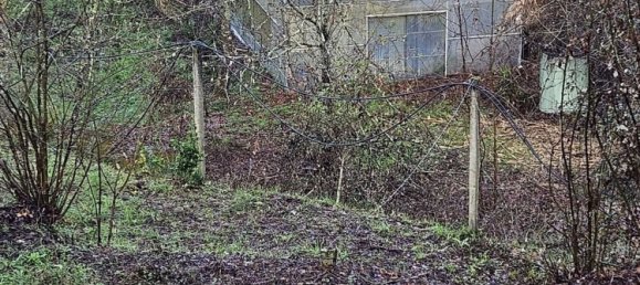 Terreno en Amarante, Portugal 30550 m² No. 56644 6