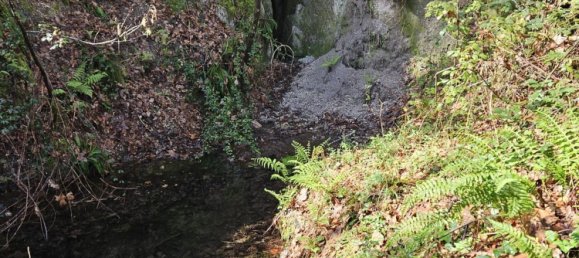 Terreno en Amarante, Portugal 30550 m² No. 56644 22