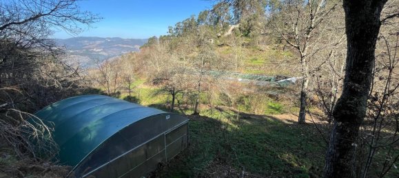 Terreno en Amarante, Portugal 30550 m² No. 56644 9