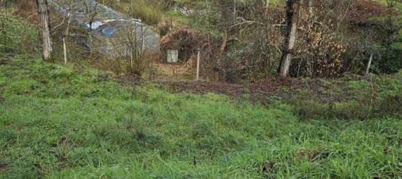 Terreno en Amarante, Portugal 30550 m² No. 56644 26