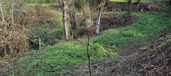 Terreno en Amarante, Portugal 30550 m² No. 56644 20