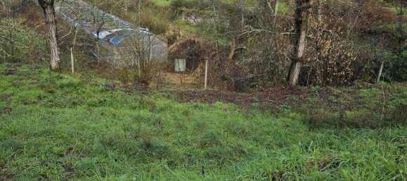 Terreno en Amarante, Portugal 30550 m² No. 56644 21