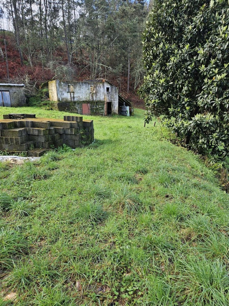 Terreno en Amarante, Portugal 30550 m² No. 56644