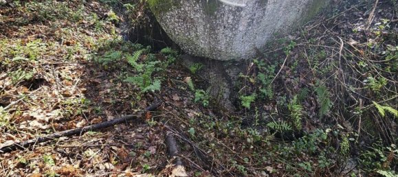 Terreno en Amarante, Portugal 30550 m² No. 56644 28