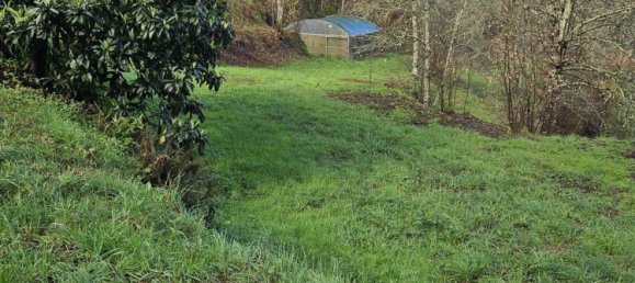 Terreno en Amarante, Portugal 30550 m² No. 56644 17