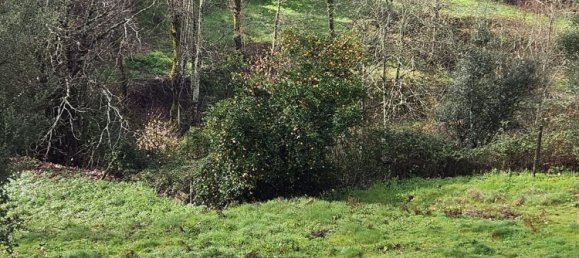 Terreno en Amarante, Portugal 30550 m² No. 56644 25