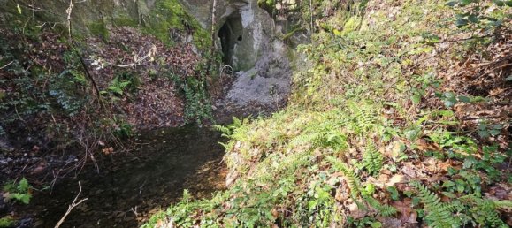 Terreno en Amarante, Portugal 30550 m² No. 56644 18