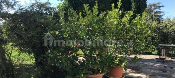 Casa de 5 divisões em Spello, Italy N.º 78046 20