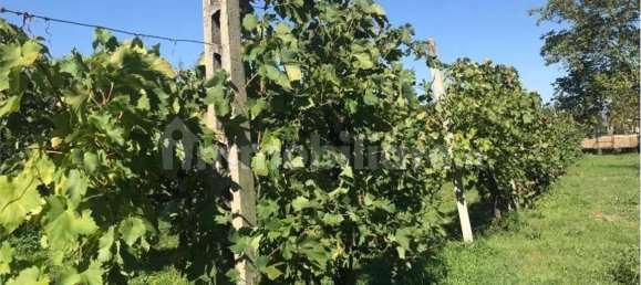 Casa de 5 divisões em Spello, Italy N.º 78046 30