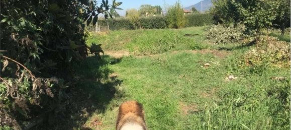 Casa de 5 divisões em Spello, Italy N.º 78046 28