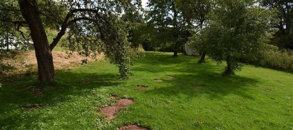 Дом с 6 комнатами в Верра-Майснер, Германия № 138190 20