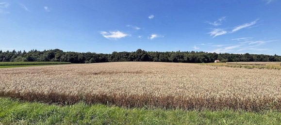 8-Zimmer Haus in Neckar-Odenwald-Kreis, Germany, Nr. 366117 4
