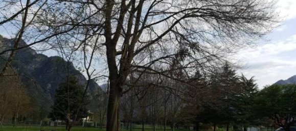 Villa de 5 divisões em Pordenone, Italy N.º 40239 12