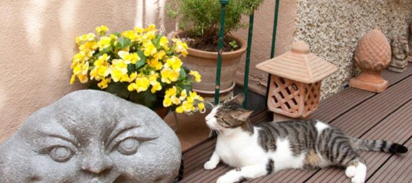 4 rooms Townhouse in Klosterneuburg, Austria No. 234017 21