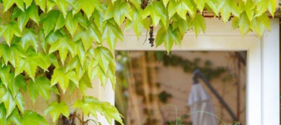 4 rooms Townhouse in Klosterneuburg, Austria No. 234017 28