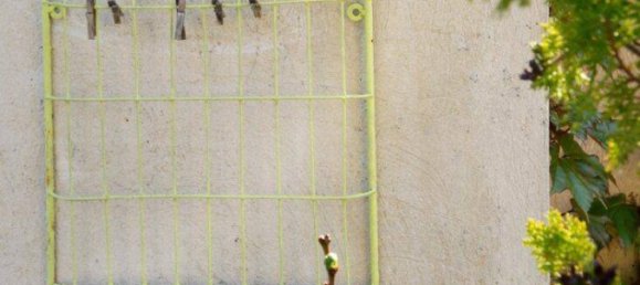 4 rooms Townhouse in Klosterneuburg, Austria No. 234017 31