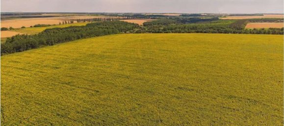 1616m² Land in San Donà di Piave, Italy No. 310678 5