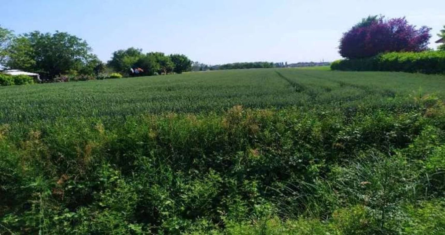 1616m² Land in San Donà di Piave, Italy No. 310678