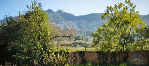 5 غرف نوم منزل في Sintra, Portugal رقم 104667 49