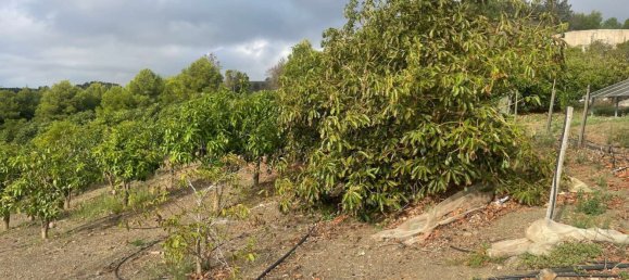 Дом с 1 спальней в Велес-Малага, Испания № 57139 4