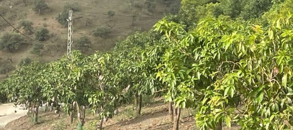 Дом с 1 спальней в Велес-Малага, Испания № 57139 5