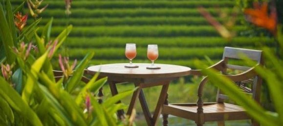 4 bedrooms Villa for rent in Canggu, Badung, Bali, Indonesia № 3140 18