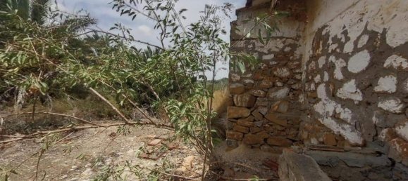 6 bedrooms House in El Realengo, Spain No. 134834 4