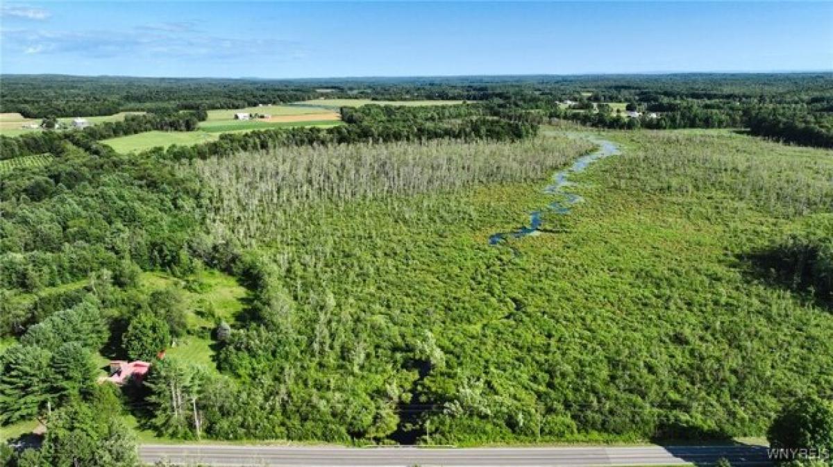  Land in Williamstown, USA No. 485304