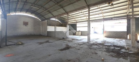 10غرفة بناية في San Martino dall'Argine, Italy رقم 271797 25