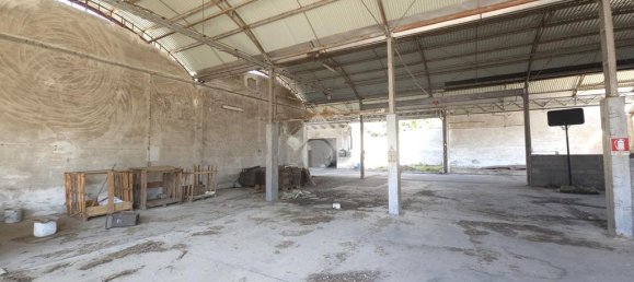 10غرفة بناية في San Martino dall'Argine, Italy رقم 271797 28