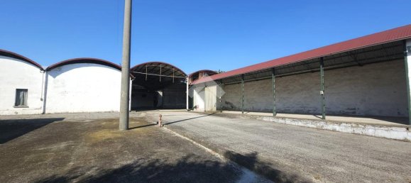 10غرفة بناية في San Martino dall'Argine, Italy رقم 271797 19